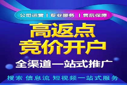 某电商平台的SEM优化全流程案例分享